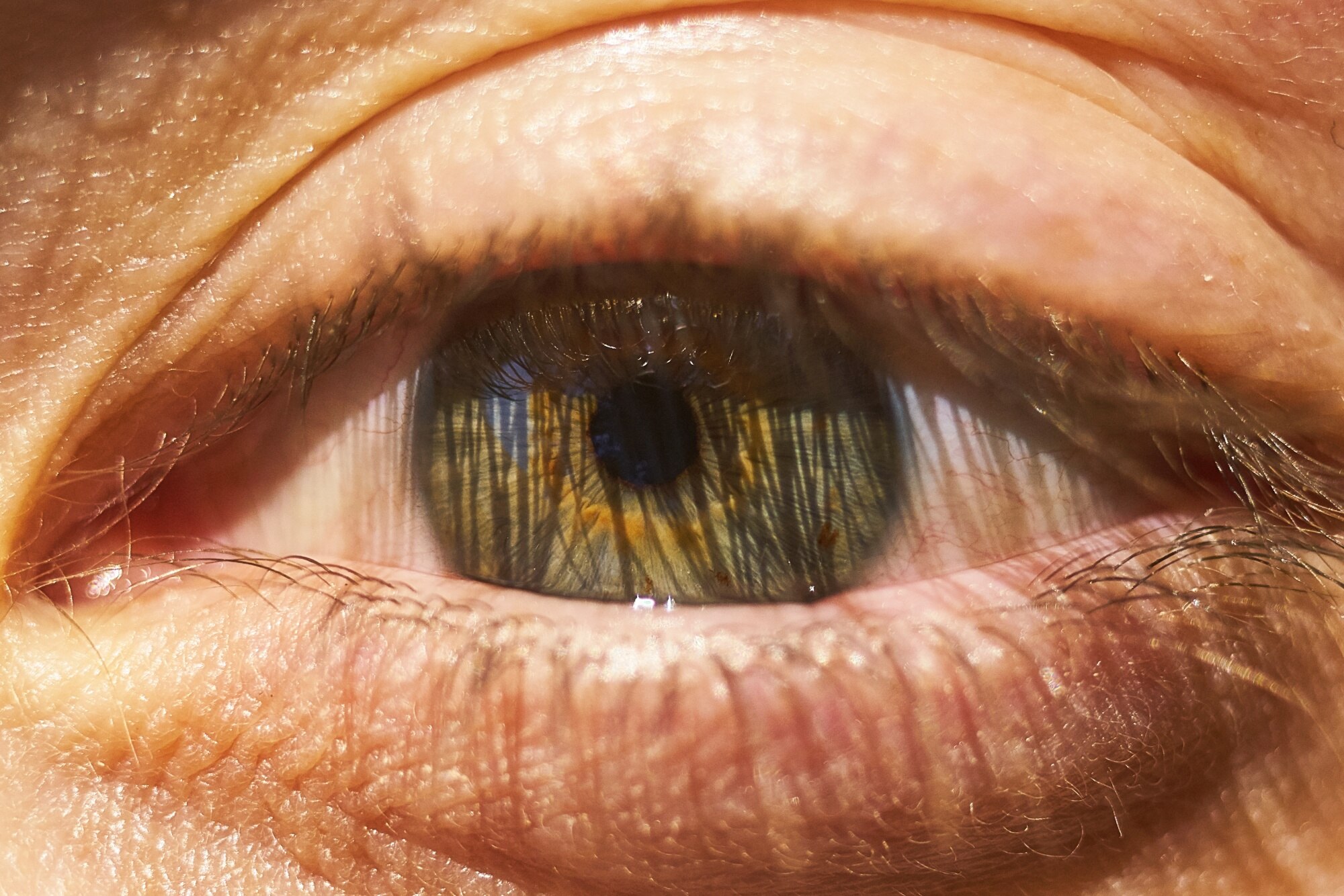Primer plano detallado del iris de un ojo humano, mostrando su estructura y textura natural